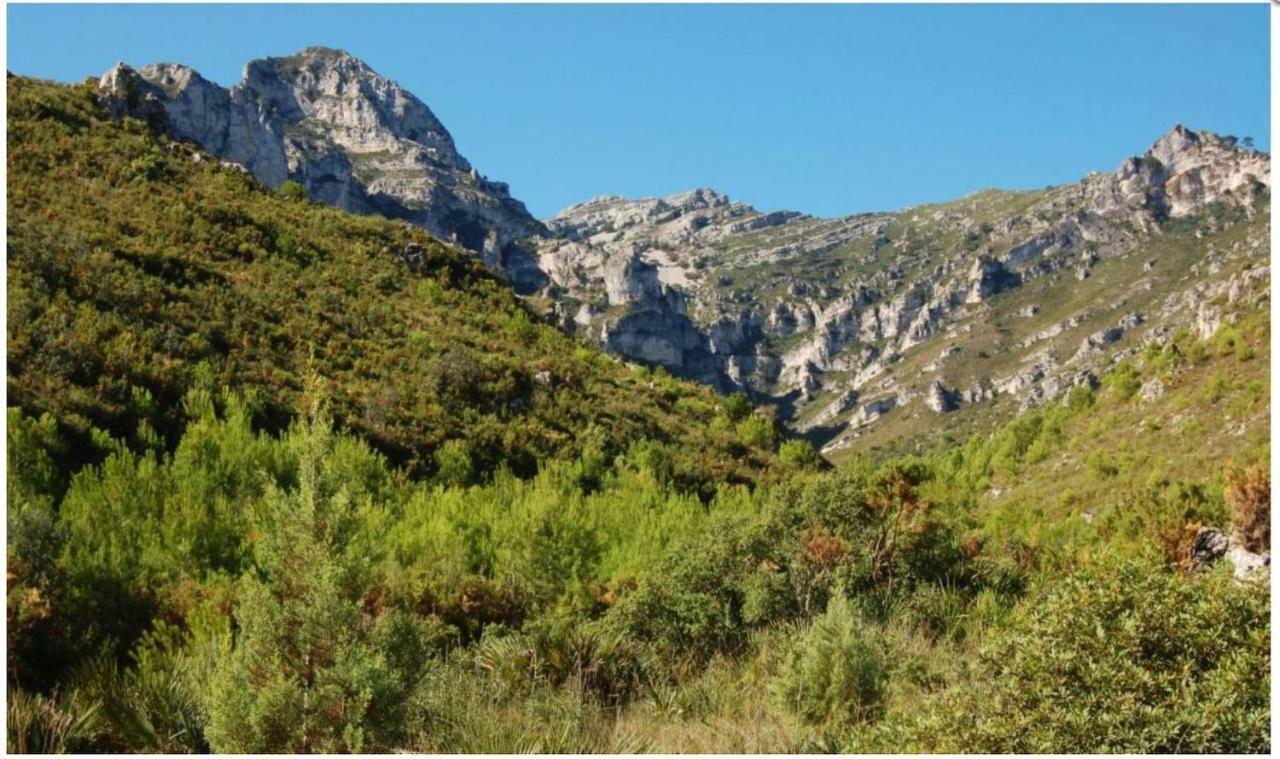 Casa Almendra Βίλα El Perelló Εξωτερικό φωτογραφία